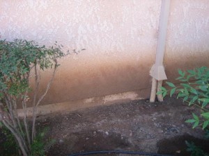 Water from Eves