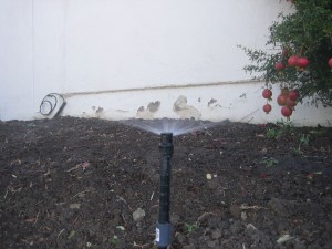 Sprinkler Damage